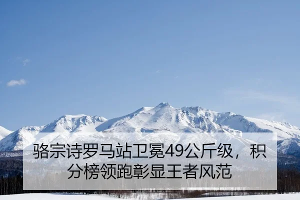 luo-zong-shi-luo-ma-zhan-wei-mian-gong-jin-ji-ji-fen-bang-ling-pao-zhang-xian-wang-zhe-feng-fan-2-422.jpg