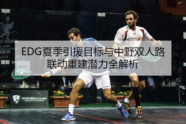 EDG夏季引援目标与中野双人路联动重建潜力全解析